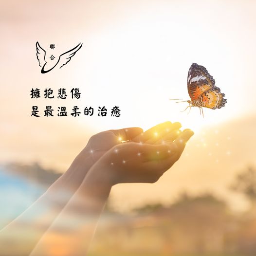 擁抱悲傷是最溫柔的治癒